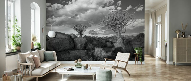PHOTOWALL / Rocks and Trees - BW (e331493)