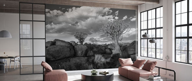 PHOTOWALL / Rocks and Trees - BW (e331493)