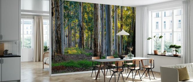 PHOTOWALL / Forest Landscape (e331500)