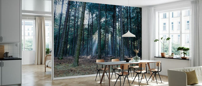 PHOTOWALL / Forest Landscape II (e331501)