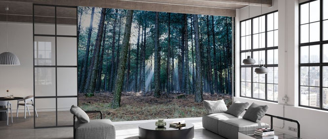 PHOTOWALL / Forest Landscape II (e331501)