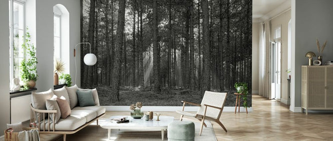 PHOTOWALL / Forest Landscape - BW (e331502)