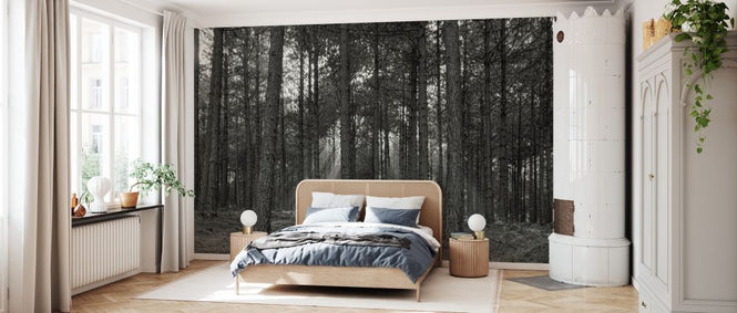 PHOTOWALL / Forest Landscape - BW (e331502)