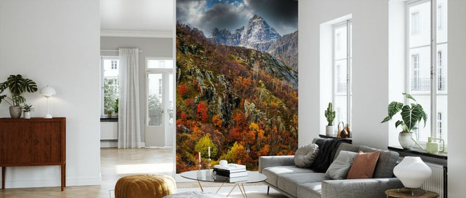 PHOTOWALL / Hillside Forest (e331532)