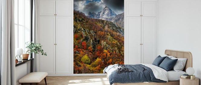 PHOTOWALL / Hillside Forest (e331532)