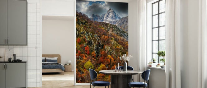 PHOTOWALL / Hillside Forest (e331532)