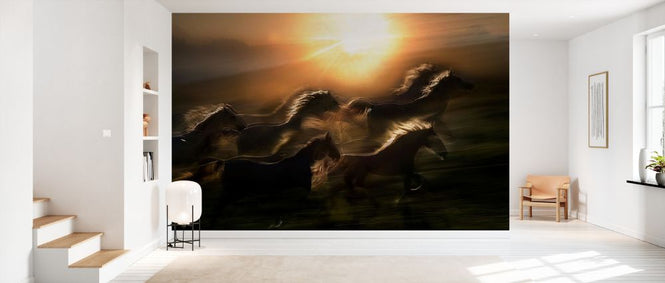 PHOTOWALL / Morning Gallop (e331173)