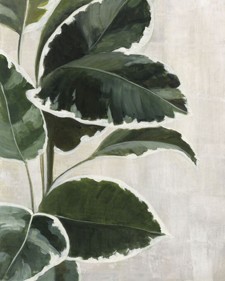 PHOTOWALL / Tropical Study (e330970)