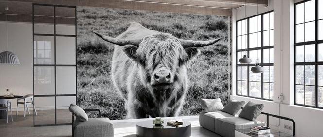 PHOTOWALL / Highland Cow Staring Contest (e330985)