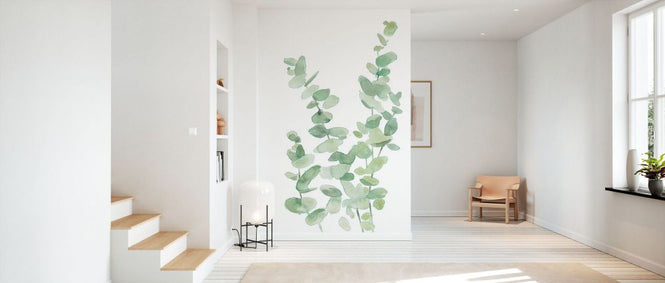 PHOTOWALL / Eucalyptus II (e330990)