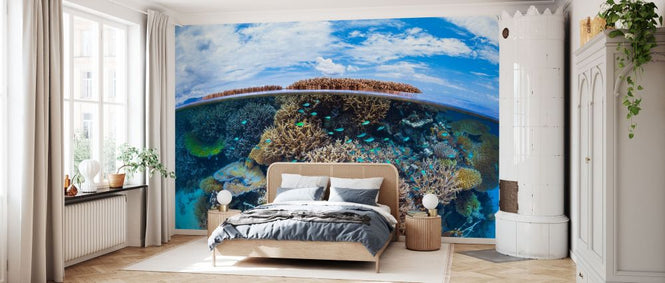 PHOTOWALL / Split Level from Mayotte Reef (e331579)