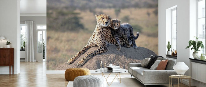 PHOTOWALL / Cheetah and Cup (e331580)