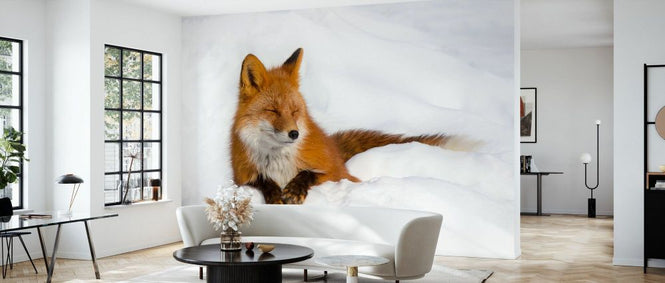 PHOTOWALL / Red Fox in the Snow (e331602)