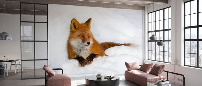 PHOTOWALL / Red Fox in the Snow (e331602)