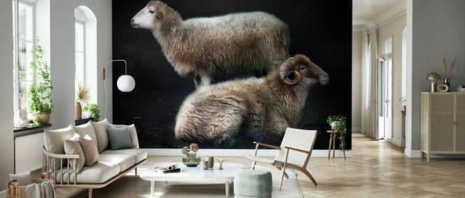 PHOTOWALL / Sheeps (e331648)