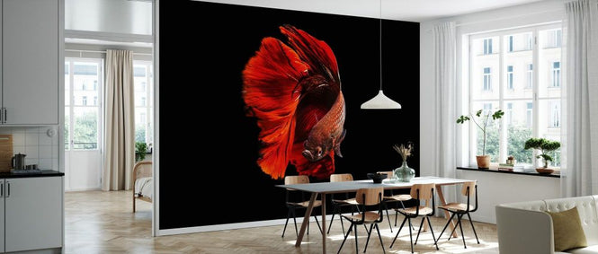 PHOTOWALL / Red (e332140)