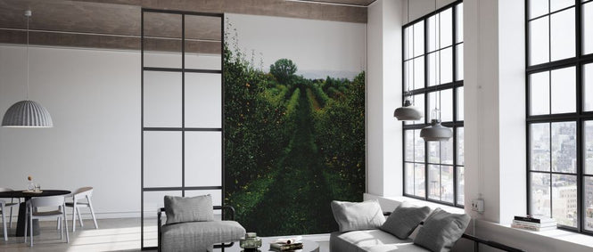 PHOTOWALL / Apple Path (e332919)