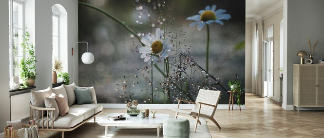 PHOTOWALL / Summer Jewelry (e332938)