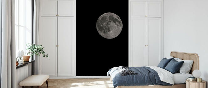 PHOTOWALL / Moon Detail (e331825)