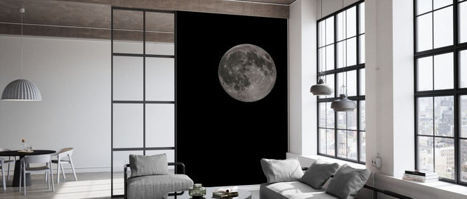PHOTOWALL / Moon Detail (e331825)
