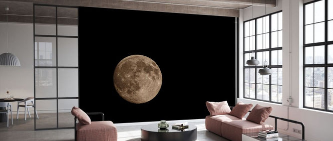 PHOTOWALL / Moon Detail II (e331826)