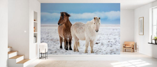 PHOTOWALL / Brothers (e331951)