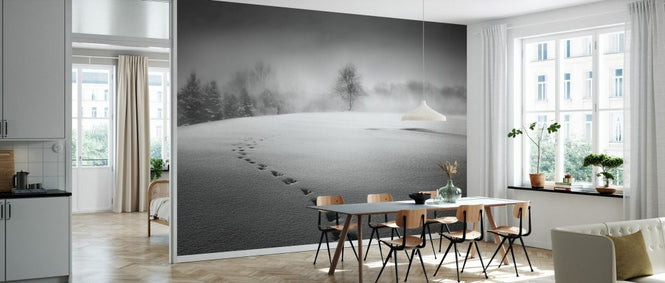 PHOTOWALL / Winter Scenery (e331955)