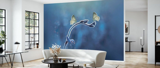 PHOTOWALL / Two Butterflies Meet Each Other (e331958)