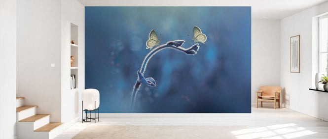PHOTOWALL / Two Butterflies Meet Each Other (e331958)