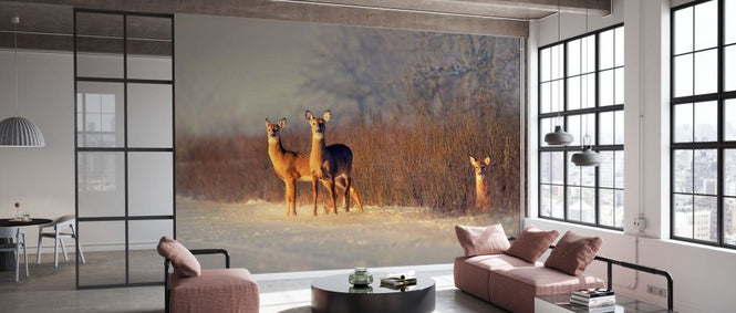 PHOTOWALL / Three Deer (e331961)