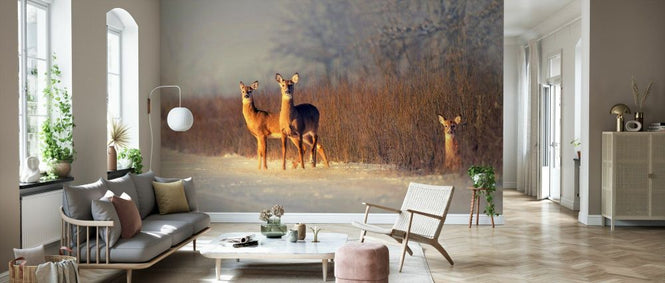PHOTOWALL / Three Deer (e331961)