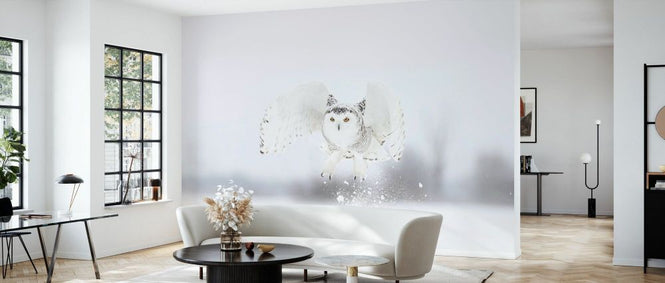 PHOTOWALL / Snowy Owl Taking Flight (e331966)