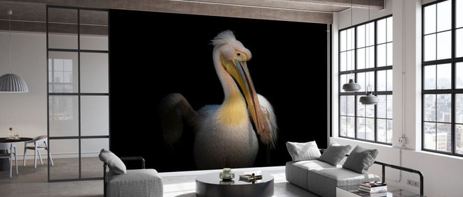 PHOTOWALL / Pelican (e331973)