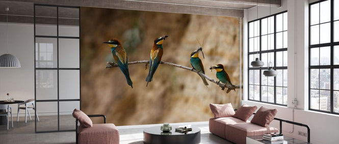 PHOTOWALL / Four European Bee Eaters (e332027)