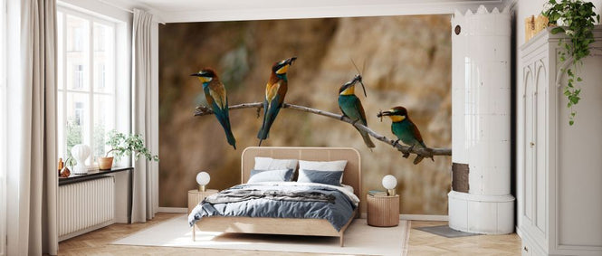 PHOTOWALL / Four European Bee Eaters (e332027)