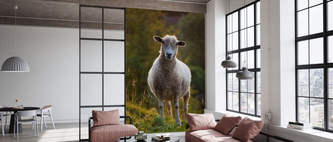 PHOTOWALL / Cotswolds Lion Sheep (e332054)