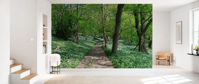 PHOTOWALL / Footpath Through Woodland (e332120)