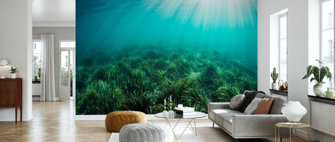 PHOTOWALL / Neptune Seagrass Bed (e332124)