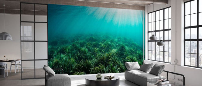 PHOTOWALL / Neptune Seagrass Bed (e332124)