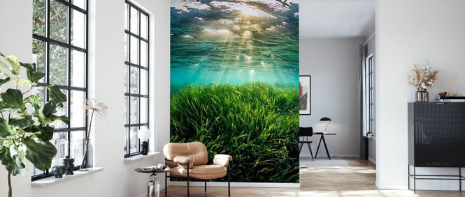 PHOTOWALL / Neptune Seagrass Bed II (e332125)