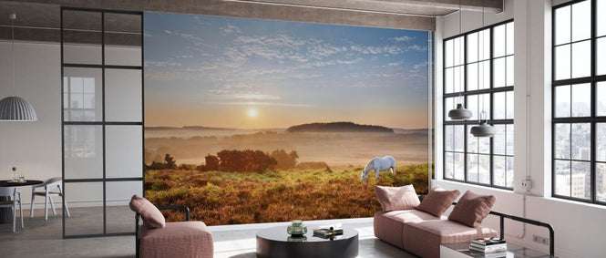 PHOTOWALL / Pony Grazing on Latchmore Bottom (e331917)