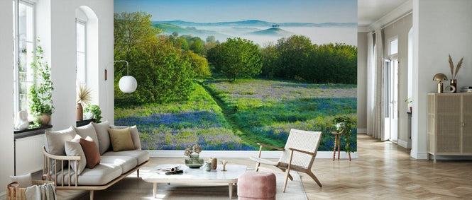 PHOTOWALL / Bluebells on Eype Down (e331924)