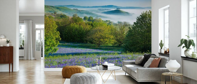 PHOTOWALL / Bluebell in Colmers Hill (e331925)