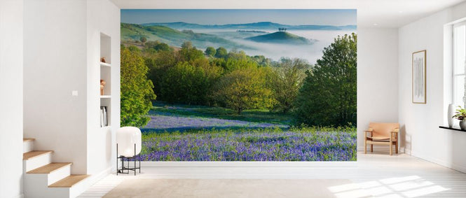 PHOTOWALL / Bluebell in Colmers Hill (e331925)