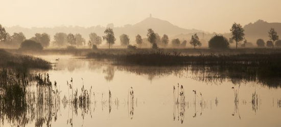 PHOTOWALL / Glastonbury Tor Over Reedbeds (e331936)