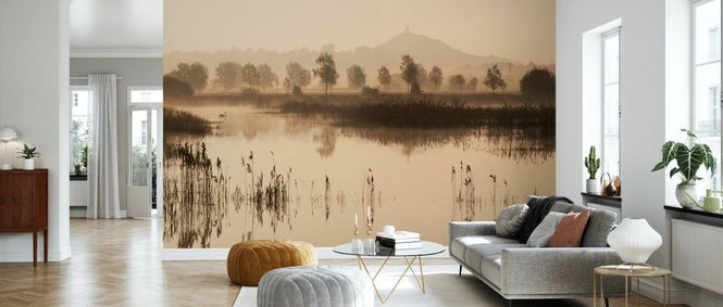 PHOTOWALL / Glastonbury Tor Over Reedbeds (e331936)