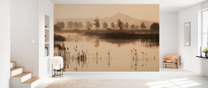 PHOTOWALL / Glastonbury Tor Over Reedbeds (e331936)