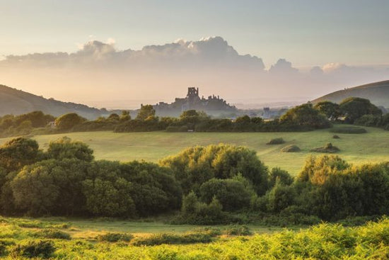 PHOTOWALL / Corfe Castle from Corfe Common (e331944)