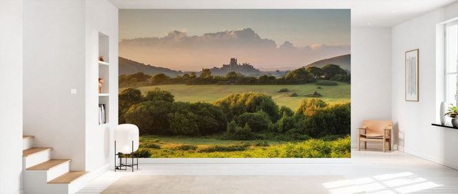 PHOTOWALL / Corfe Castle from Corfe Common (e331944)