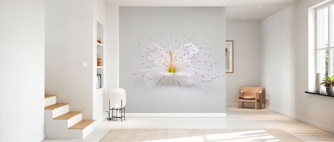 PHOTOWALL / Blooming Flower (e332181)